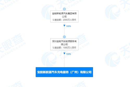 寶能汽車再布局 千萬元注冊資本聚焦物聯(lián)網(wǎng)技術(shù)服務(wù)新賽道